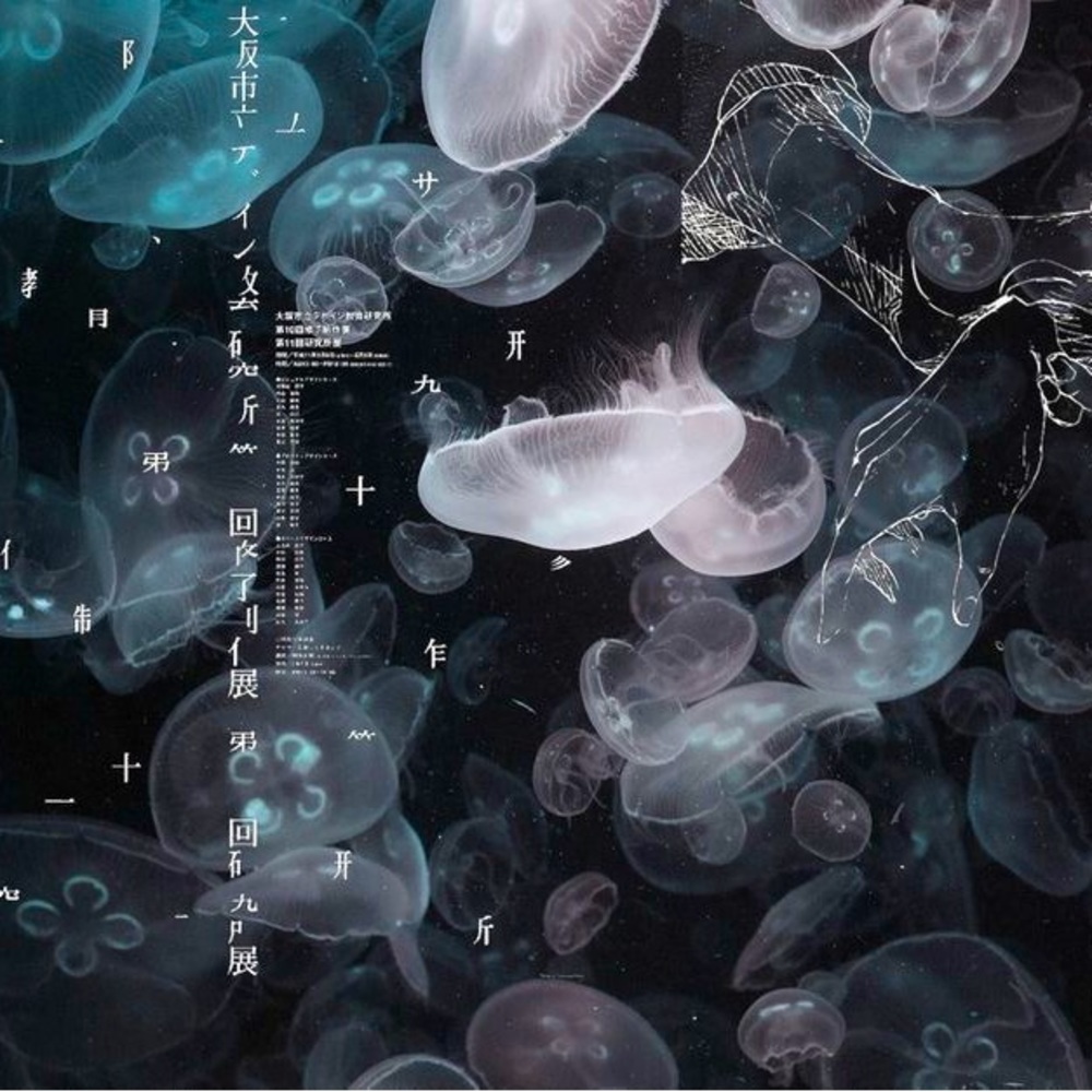 Meet your Posher, Karina